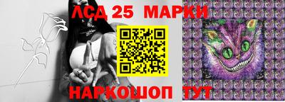 тгк Кандалакша