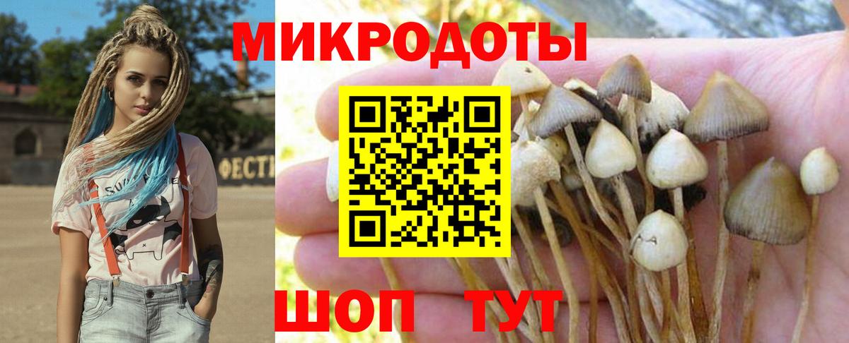 Корсаков  Псилоцибиновые грибы мицелий  Вход с VPN 